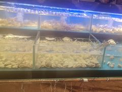 -苏格里岛·自助烤肉·火锅海鲜(金鼎广场店)