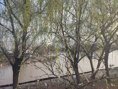 -澹台湖公园