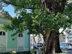 -龙环葡韵住宅式博物馆