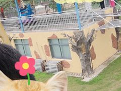 -云幽谷旅游区