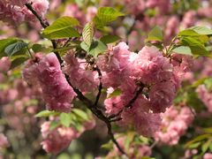 -苏州河梦清园环保主题公园