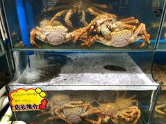 -蚝专家(北滘店)