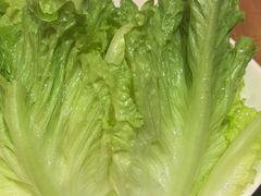 -九码头重庆毛肚火锅(棠岗店)