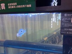 -肆月河豚·淮扬菜·湘菜(华天店)
