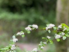 -西湖风景区-江洋畈生态公园