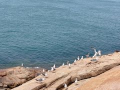 -那香海钻石沙滩浴场