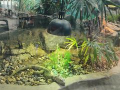 -上海昆虫博物馆