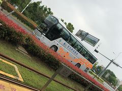 -高新区有轨电车1号线嘉陵江路站