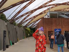 -怀托摩萤火虫洞