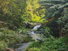 -千泷沟大瀑布旅游区