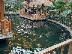 -南宫五洲植物乐园