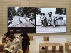 -Apple零售店(济南恒隆广场店)