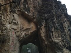 -黑河国家森林公园