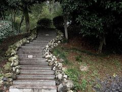 -三江森林温泉度假区