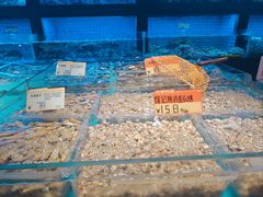 -徐记海鲜(大雁塔|金都店)