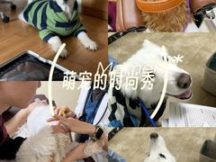 -美联众合动物医院·24h转诊中心