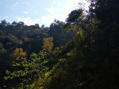 -太湖源风景区
