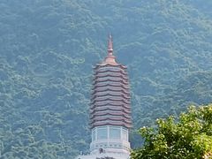 -深圳仙湖植物园