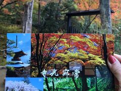 -常寂光寺