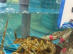 -抹直口特色菜馆(一店)