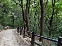 -苏州上方山国家森林公园
