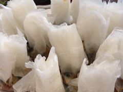 -天回镇何氏豆腐(总店)