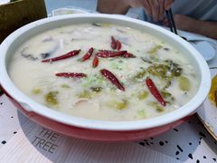 奶酸鱼-大树餐厅(朝阳大悦城店)