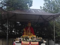 -上海佘山国家森林公园天马山园