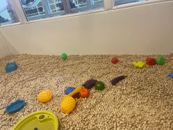 -多多淘儿童体验中心(重庆来福士店)