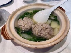 -丁老爷子苏香圆