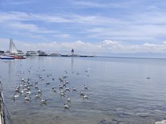 -青海湖国家重点风景名胜区
