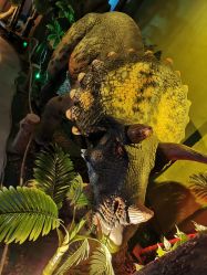 -恐龙探索乐园(磁器口店)