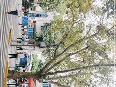 -上海交通大学医学院附属瑞金医院(总院)