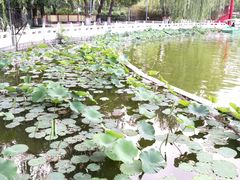 -丰台花园