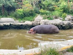 -上海野生动物园