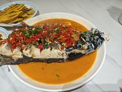 -全乐鱼馆·淳牌有机鱼直营店