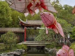 -顺峰山公园