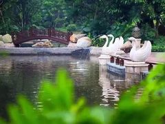 -江门恒大泉都