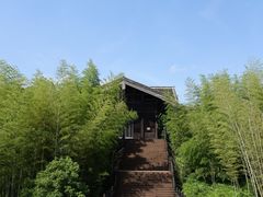 -大唐贡茶院