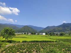 -塔川景区