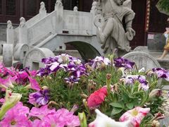-句容茅山景区