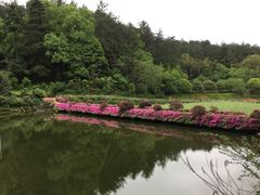 -韶山毛泽东同志故居