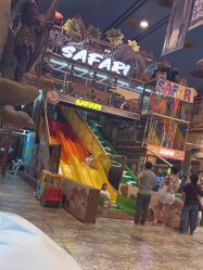 点击看大图 -卡通尼·Safari非洲探索乐园·生日会(金桥国际商业广场店)