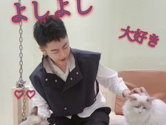 -藏猫猫咖啡主题馆(中央大道店)