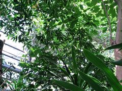 -南山植物园
