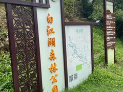 -广州白江湖森林公园