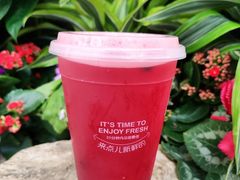 -鲜果时间·果蔬茶(赛格负二层店)