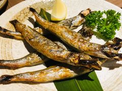 烤多春鱼-酒井酱子·深夜食堂(东城汇店)