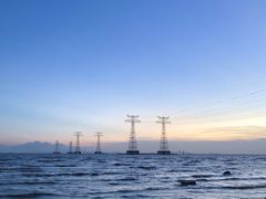 -宝安西湾红树林湿地公园