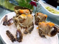 -渔娘渔家丹东海鲜(东直门店)